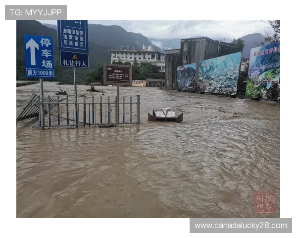 雨战中的技术较量:门兴科隆一战场地积水严重